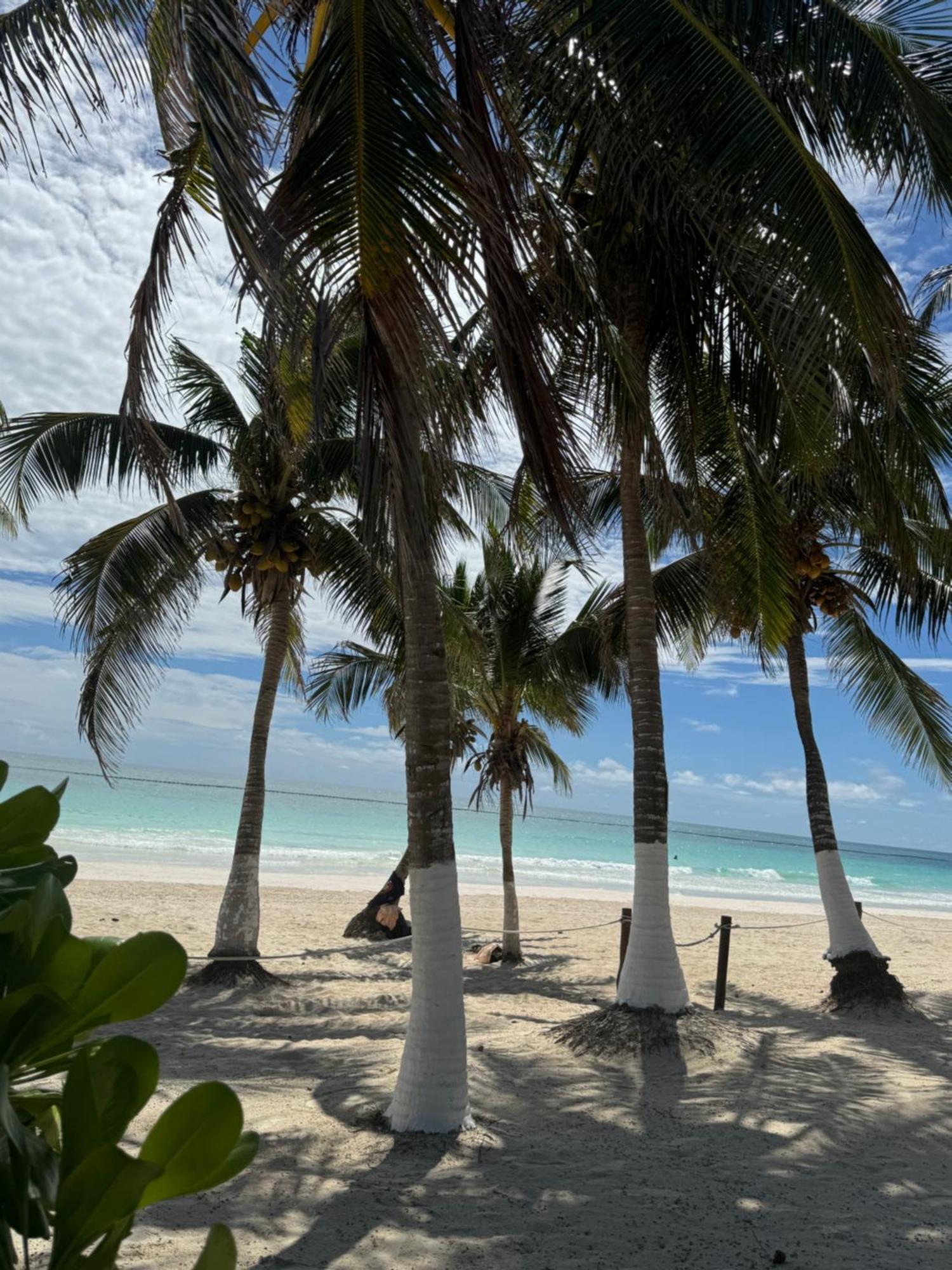 El Paraiso Hotel Tulum Eksteriør bilde