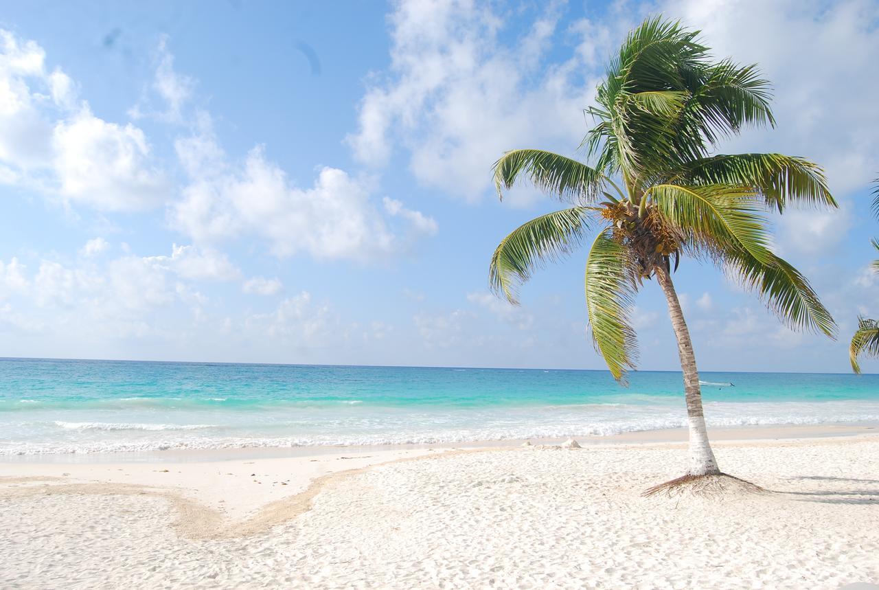 El Paraiso Hotel Tulum Eksteriør bilde